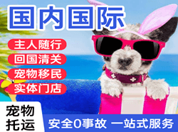 义乌空运地址国际宠物托运 【国